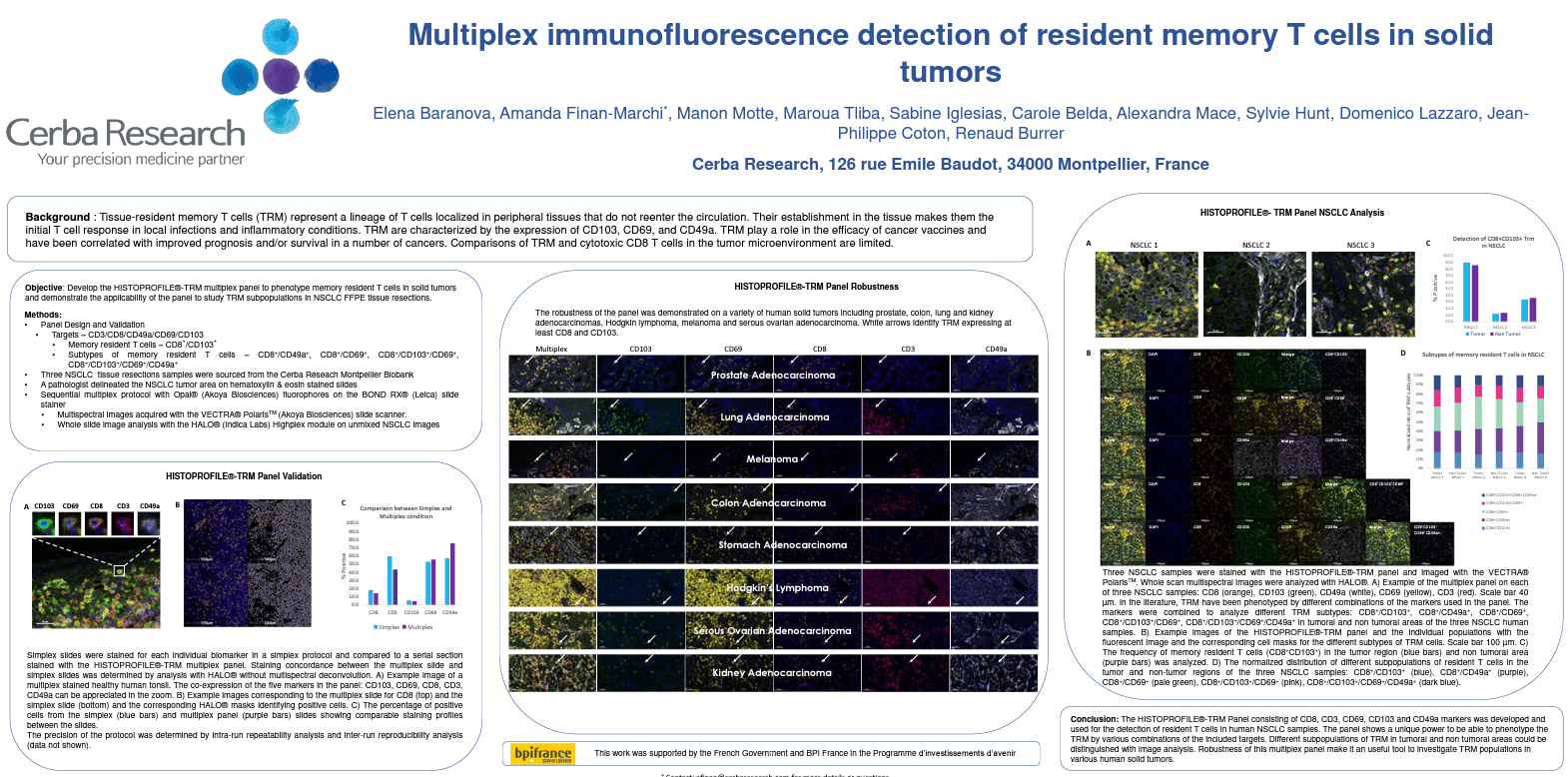 Poster - resident memory t cells in solid tumors